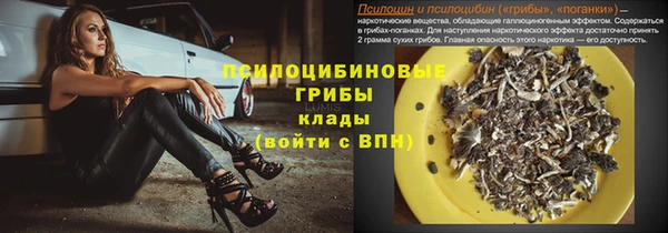 молекула духа Кодинск