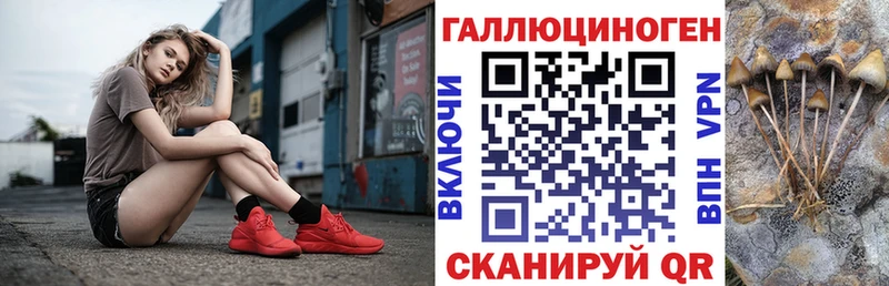 Купить где  Заволжье  Псилоцибиновые грибы GOLDEN TEACHER 