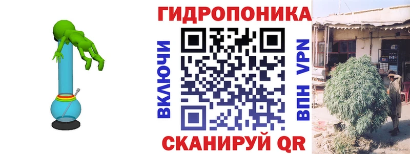 Купить  Заволжье  Бошки Шишки ГИДРОПОН 
